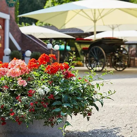 فندق Naafs-haeuschen